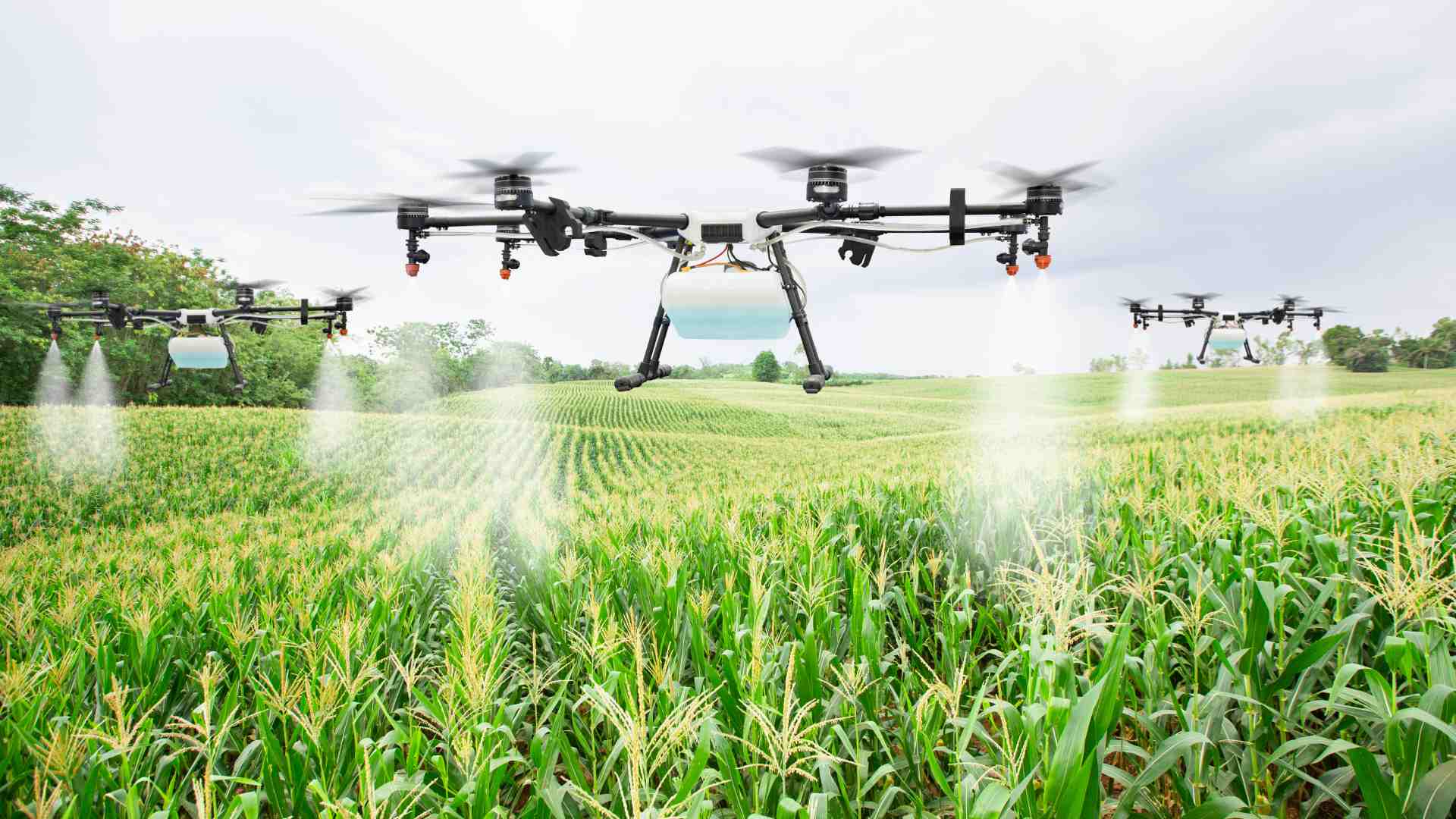 AERIAL SURVEILLANCE