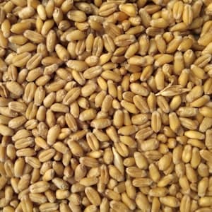 Imidacloprid 17.8% SL 250ml